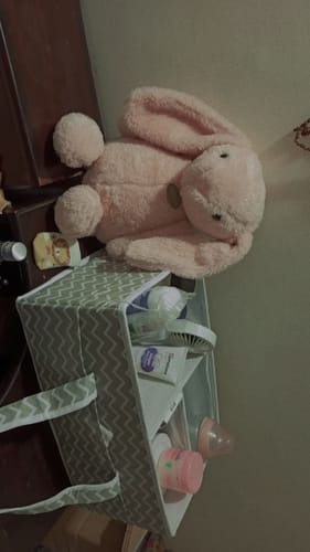 Customer photo review of TOT CREW Nappy Caddy Large Organiser (Available in 2 colors)