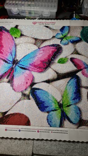 Customer photo review of 5D Diamond Painting Farbige Schmetterlinge