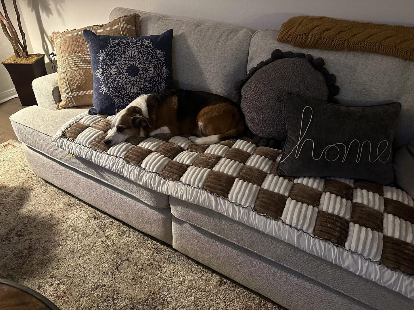 Customer photo review of Sofa Cover