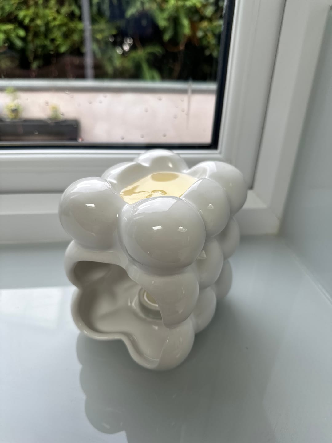 Customer photo review of Daisies