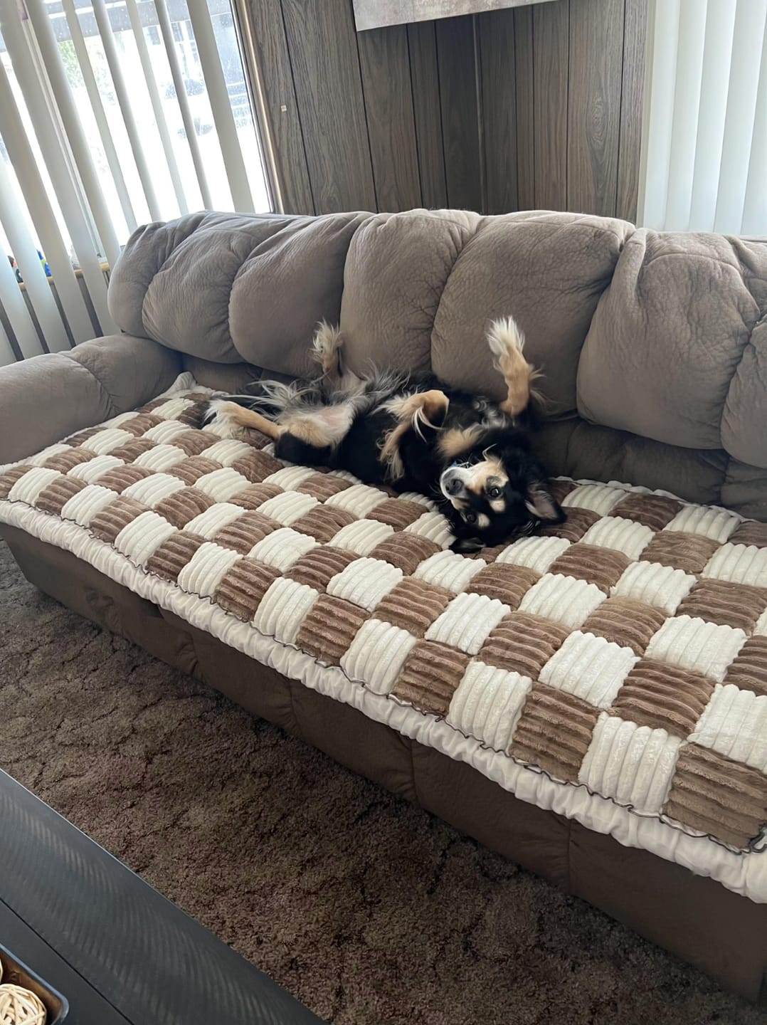 Customer photo review of Sofa Cover