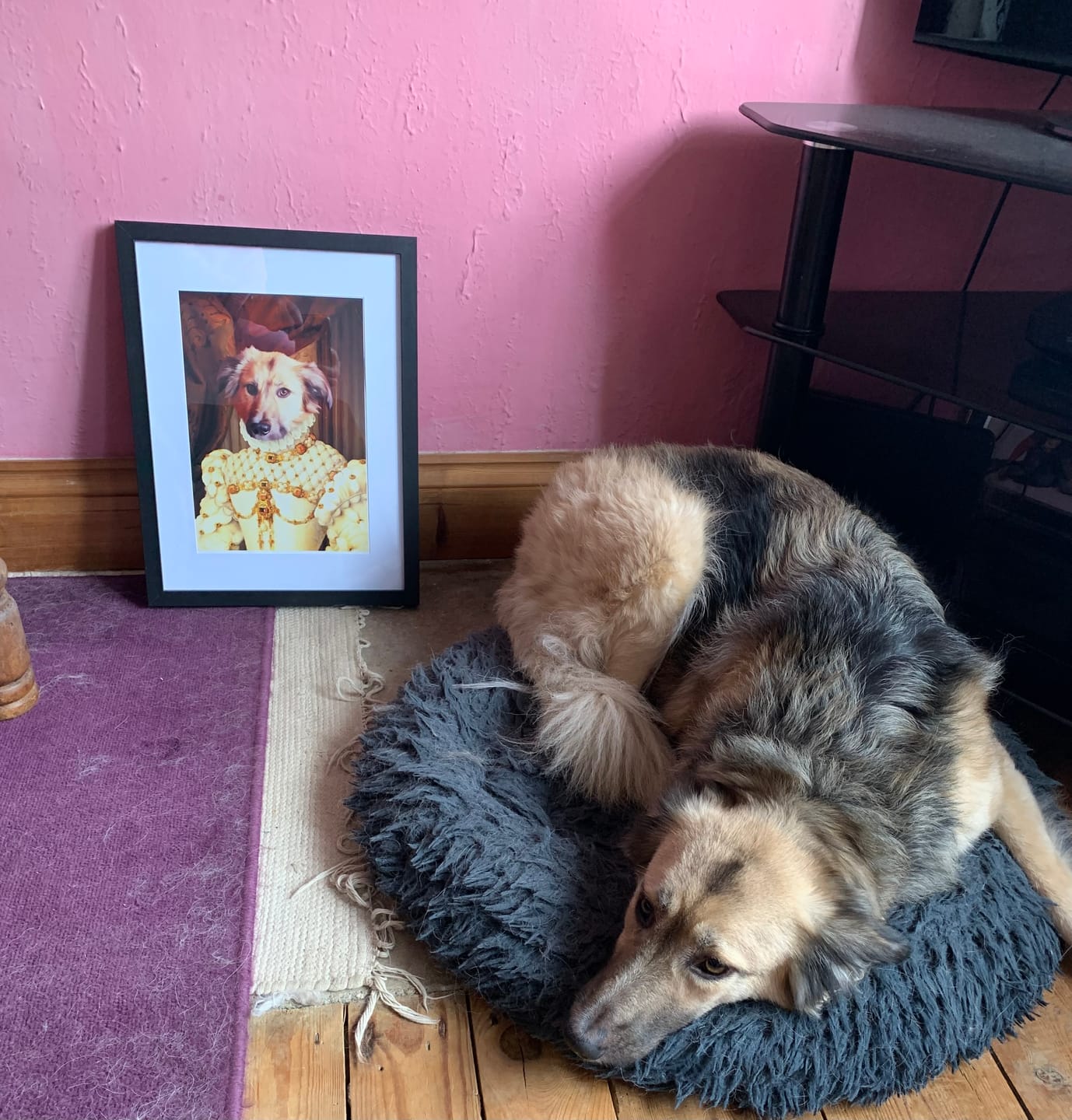 Customer photo review of The Princess: Custom Pet Portrait