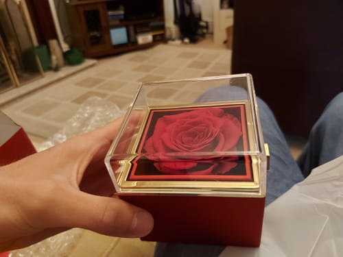 Customer photo review of Eternal Rose Box - W/ Engraved Necklace & Real Rose.