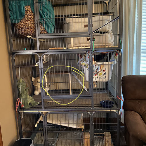 Customer photo review of Heavy Duty Rectangle Tube pen Pet Training Kennel Crate