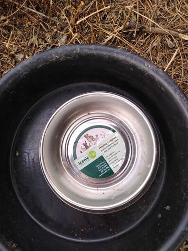 Customer photo review of Anti Ant Stainless Steel Non Skid Pet Bowl for Dog or Cat