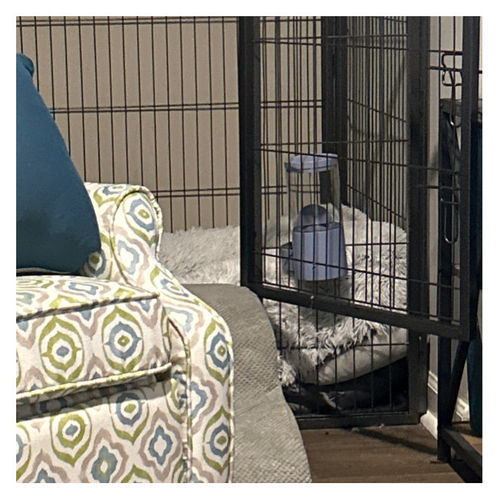 Customer photo review of Heavy Duty Rectangle Tube pen Pet Training Kennel Crate