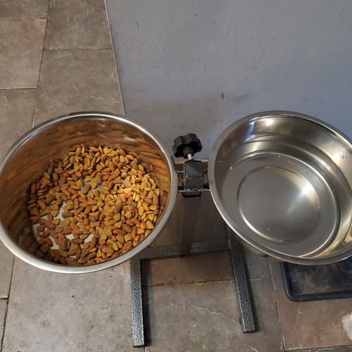 Customer photo review of Adjustable Stainless Steel Pet Double Diner - H Design