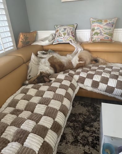 Customer photo review of Tapis Douillet Luxueux Multi-Usage pour Chiens et Chats - Confort Ultime et Design Élégant