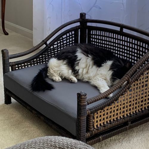 Customer photo review of Maharaja Rattan Pet Bed
