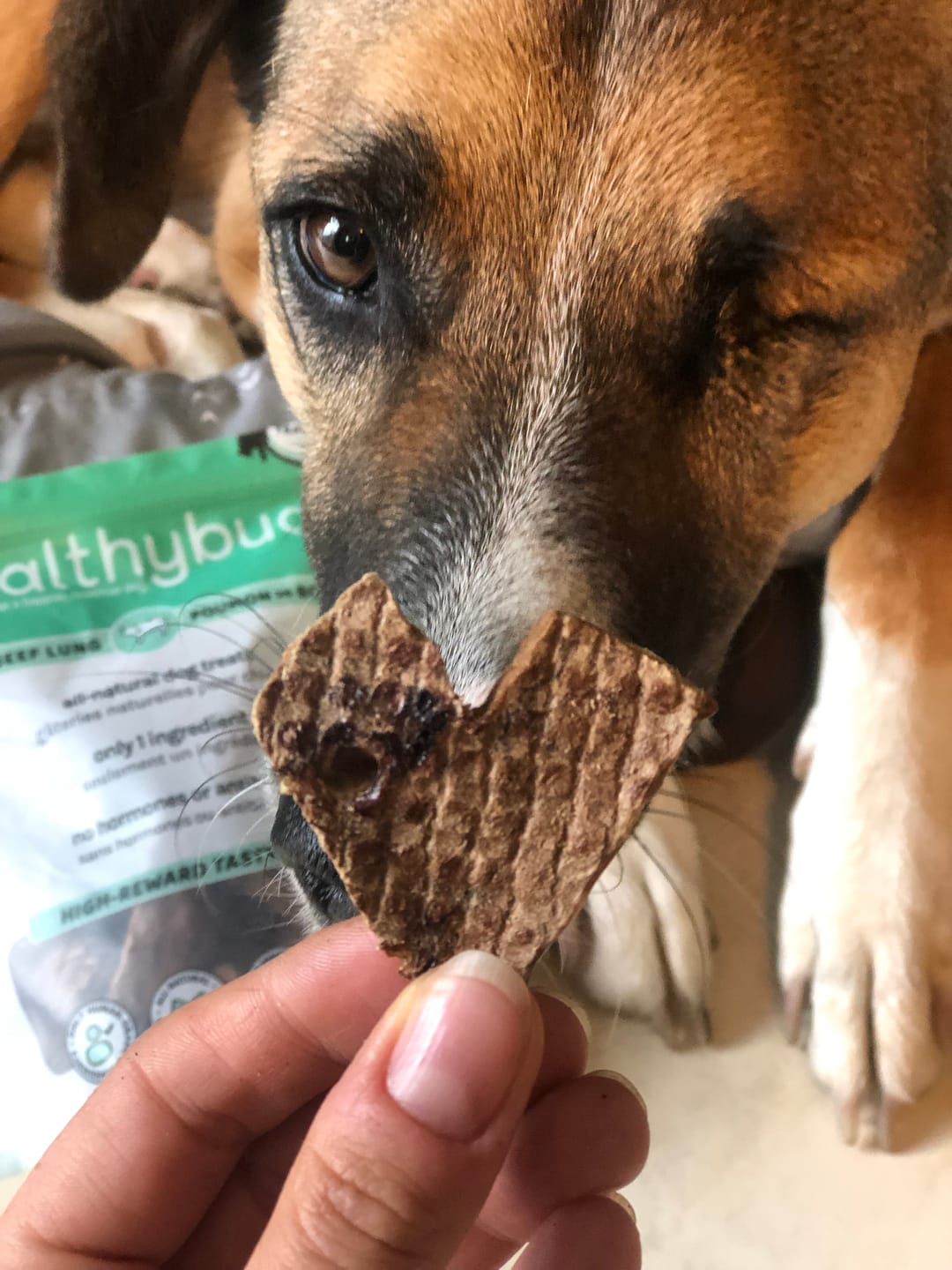 Customer photo review of Beef Lung Wafers