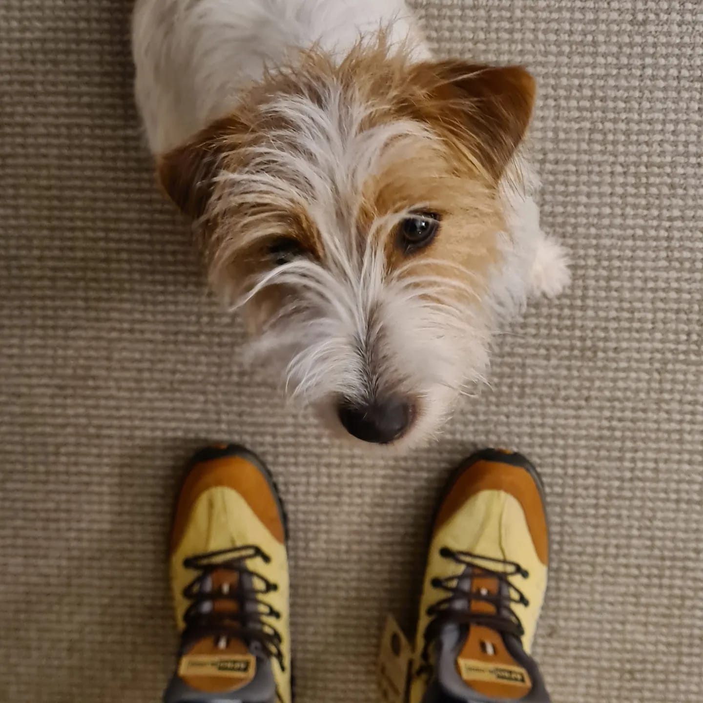 Customer photo review of Adventure Boots Unisex