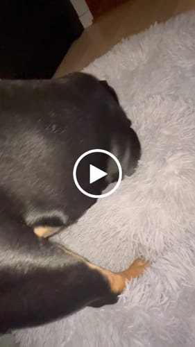 Customer video review of CalmBed - Motverkar stress & hjälper mot ångest