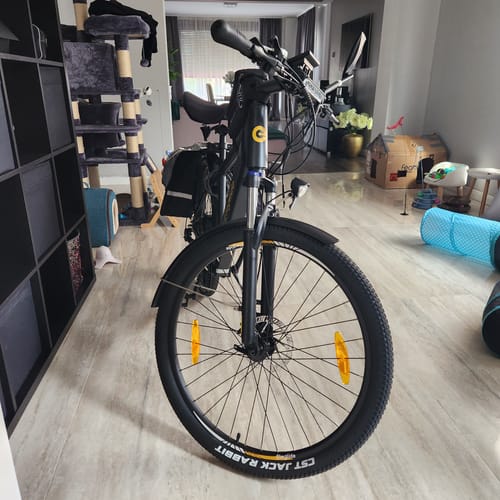 Customer photo review of Electric Trekking Bike T1