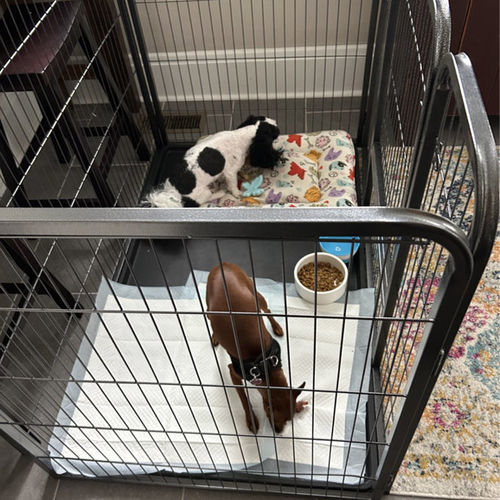 Customer photo review of Heavy Duty Rectangle Tube pen Pet Training Kennel Crate