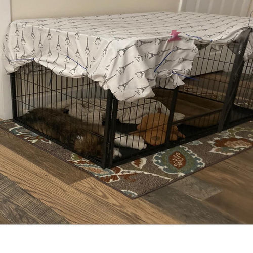 Customer photo review of Heavy Duty Rectangle Tube pen Pet Training Kennel Crate