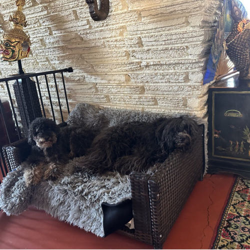 Customer photo review of Rattan Rectangular Pet Sofa