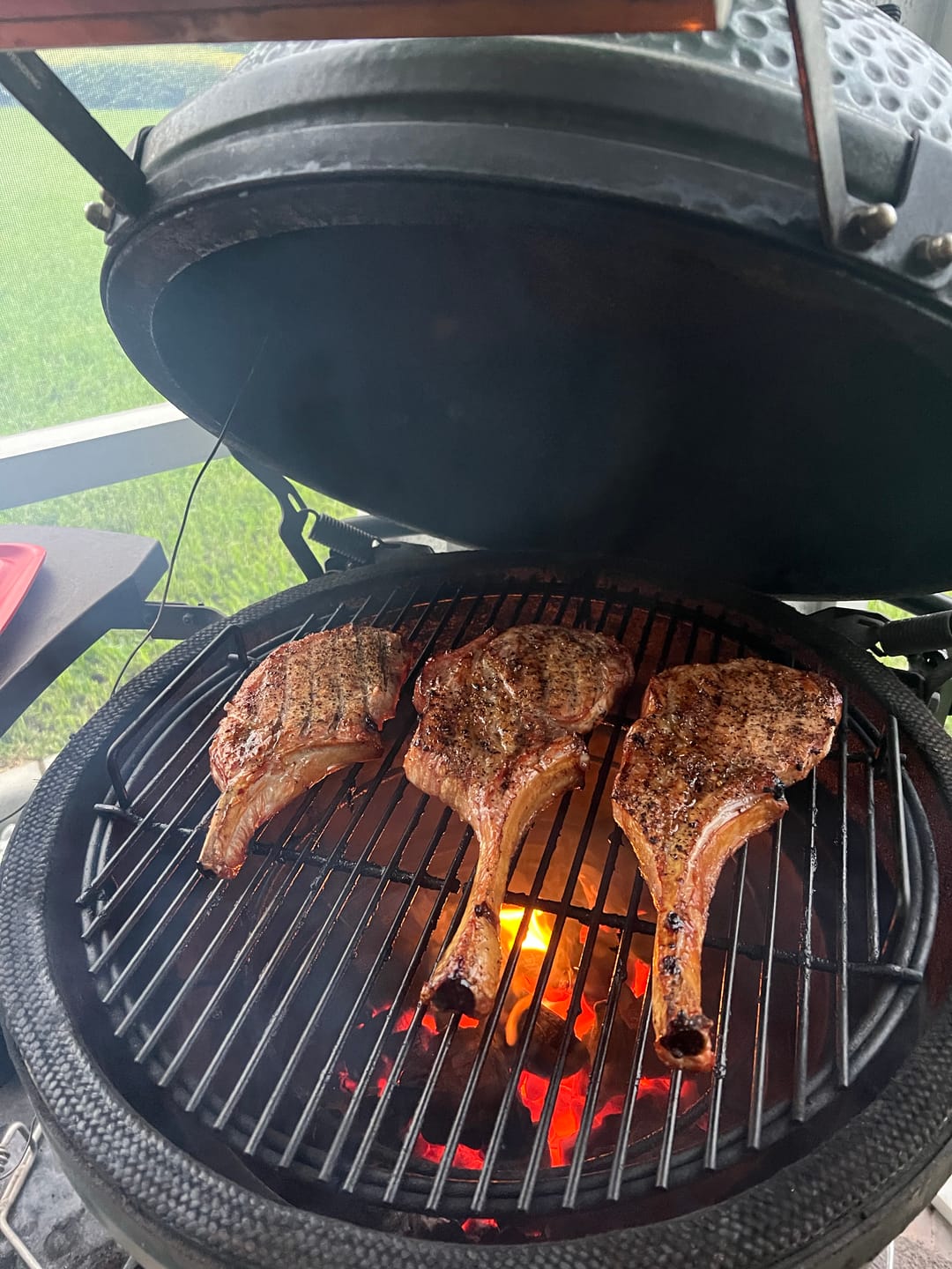 Customer photo review of MAGNUM Steak & Chop Blend