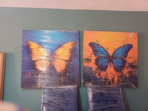 Customer photo review of Set de mariposas alas abiertas