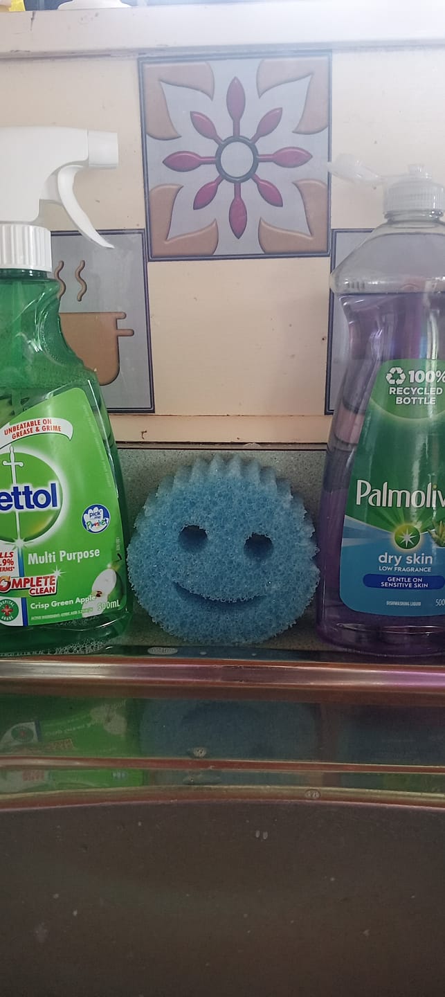 Customer photo review of Scrub Daddy 3 Pack
