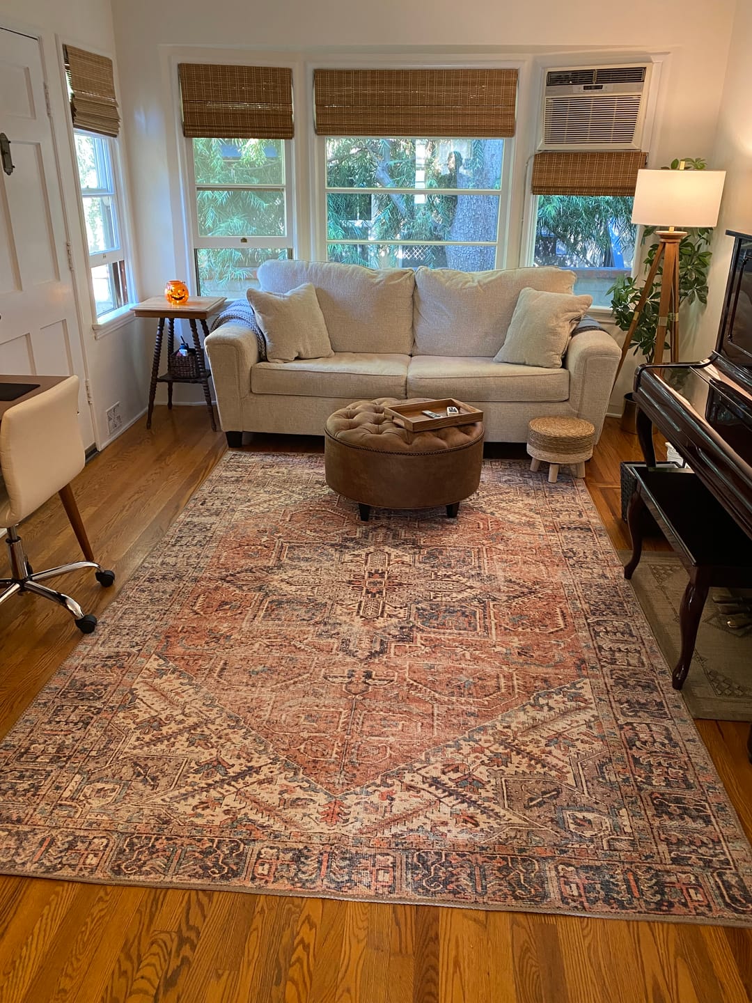 Customer photo review of Jezebel Machine Washable Rug
