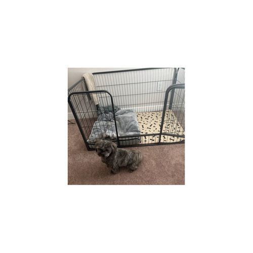 Customer photo review of Heavy Duty Rectangle Tube pen Pet Training Kennel Crate