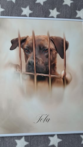 Customer photo review of Öl Pawtrait