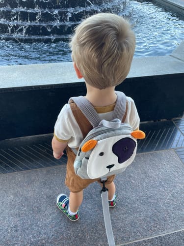 Customer photo review of Bruno The Dog Toddler Backpack
