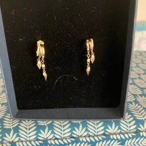 Customer photo review of Sienna Illusion Earrings