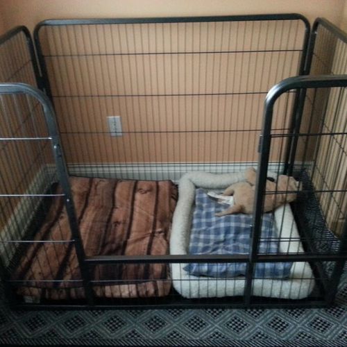 Customer photo review of Heavy Duty Rectangle Tube pen Pet Training Kennel Crate
