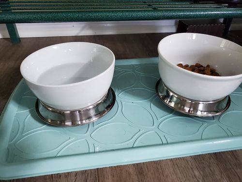 Customer photo review of Anti Ant Stainless Steel Non Skid Pet Bowl for Dog or Cat