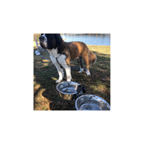 Customer photo review of Adjustable Stainless Steel Pet Double Diner - H Design