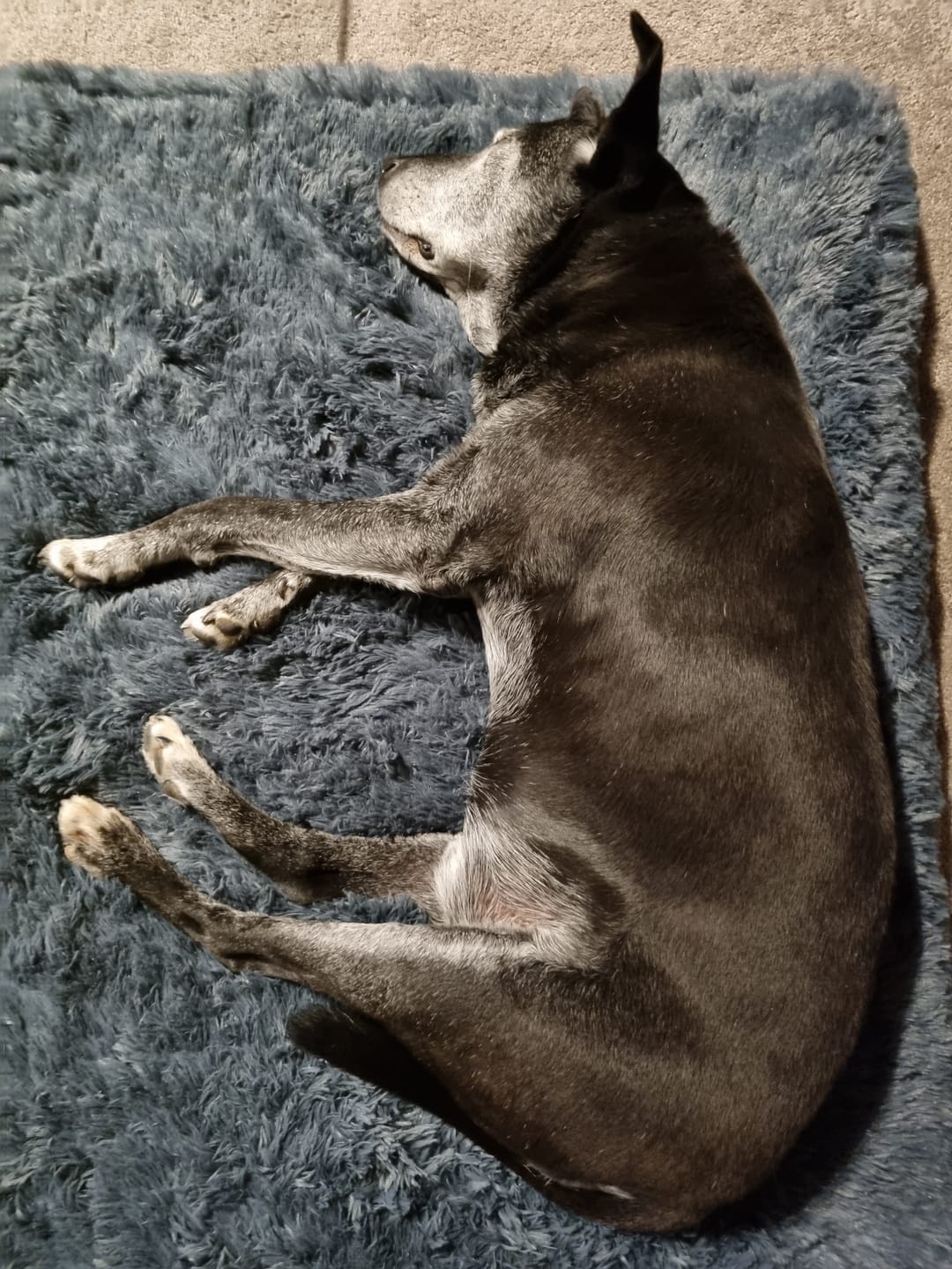 Customer photo review of Brooklyn® Ultra Memory Foam Bed