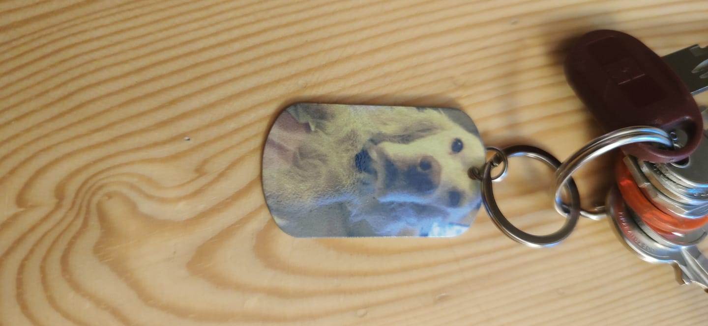 Customer photo review of Per sempre nel cuore - Portachiavi piastrina personalizzato