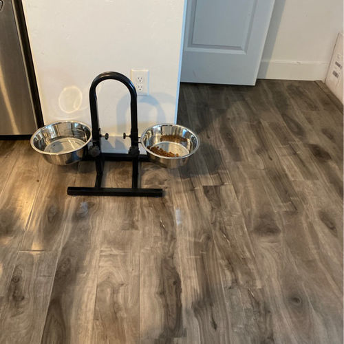 Customer photo review of Adjustable Stainless Steel Pet Double Diner for Dog - U Design