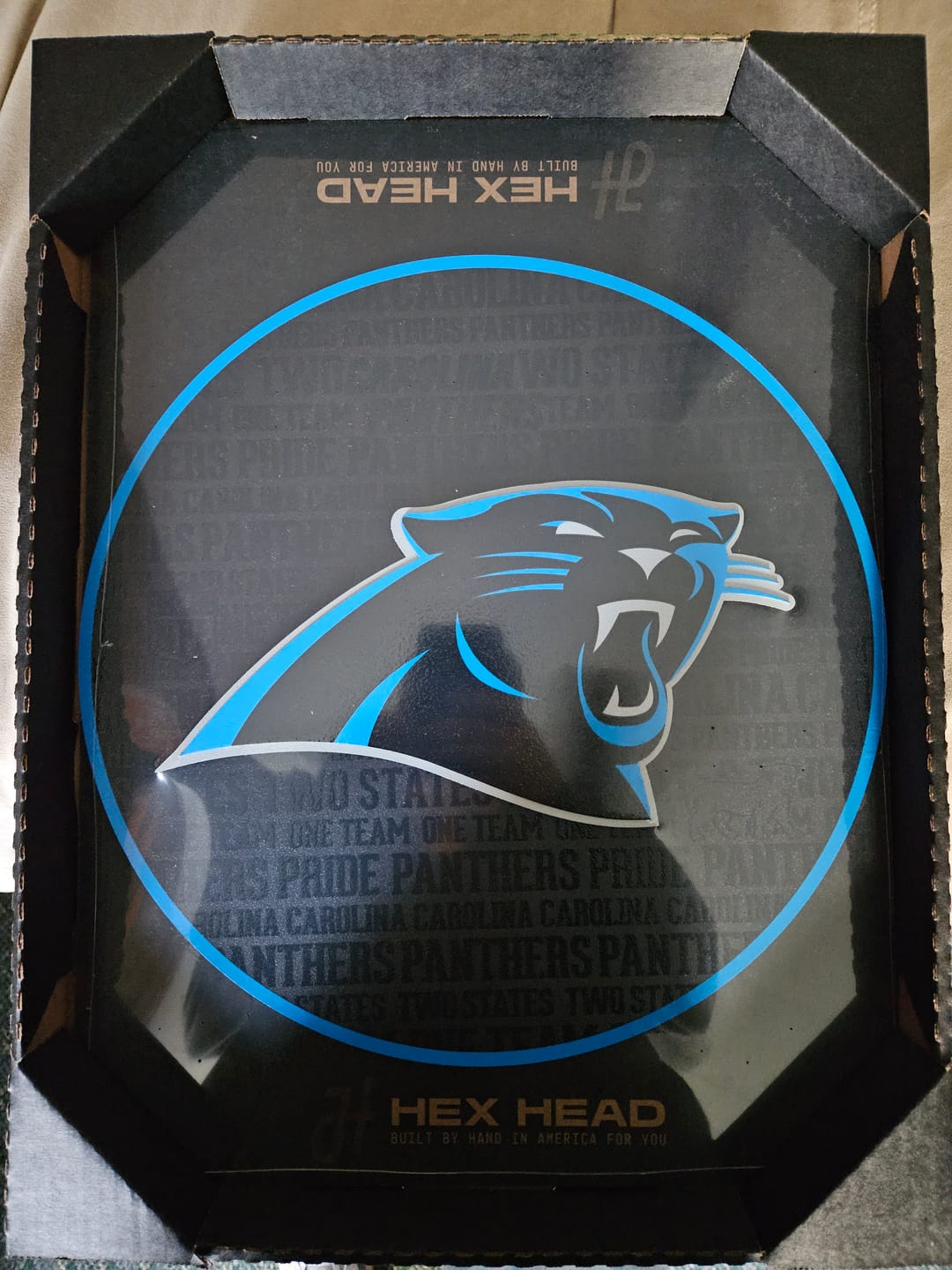 Customer photo review of Carolina Panthers CRAFT SERIES 3D Embossed Metal Wall Art
