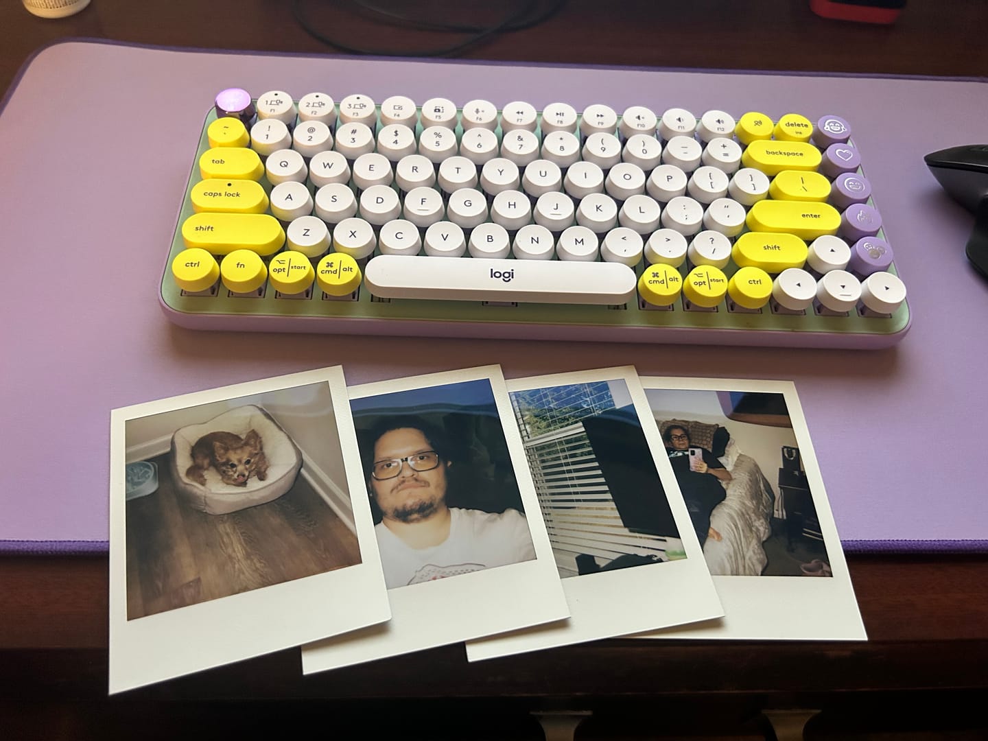Customer photo review of Polaroid 600 Color Instant Film