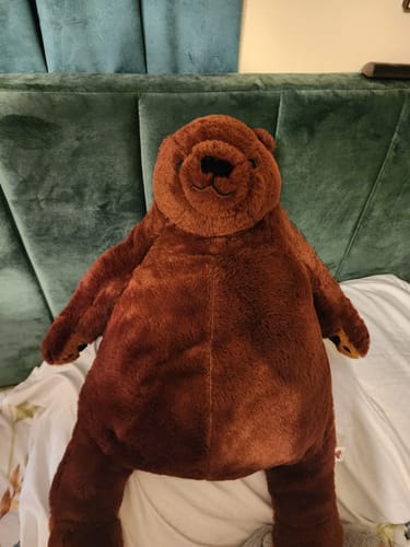 Customer photo review of SKOGGY BEAR