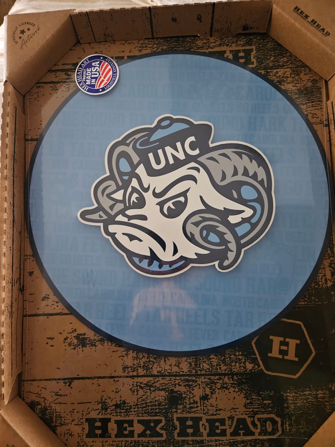Customer photo review of North Carolina Tar Heels CRAFT SERIES 3D Embossed Metal Wall Art
