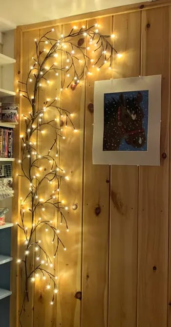 Customer photo review of Bäumlein® - Weinrebe mit 144 LED's