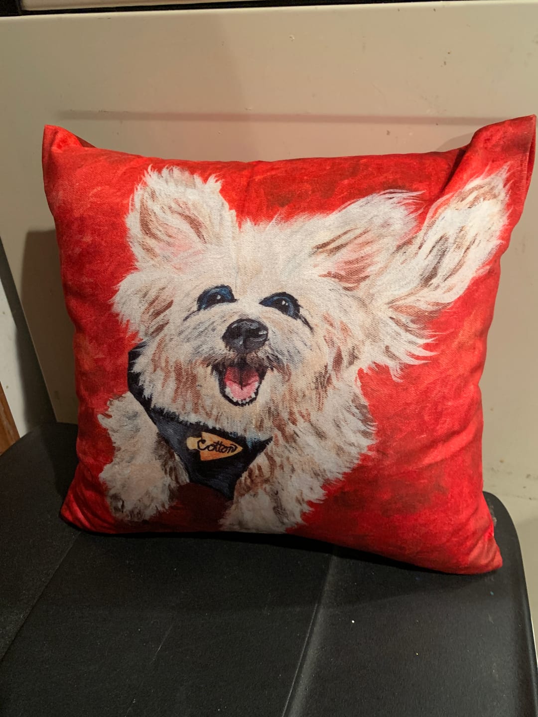 Customer photo review of Custom Photo Pillow with Your Dog Photos, Print Pet Photo on Pillow