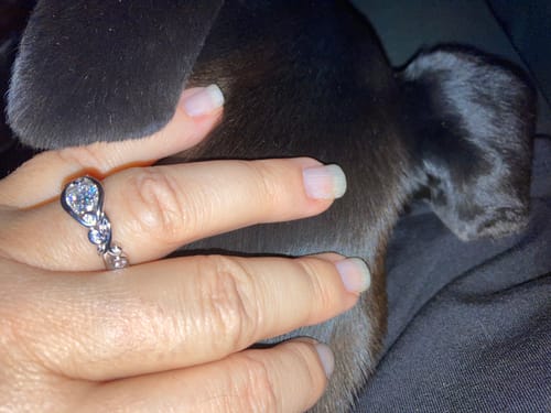 Customer photo review of Bezel Set Round Moissanite Scroll Accents Engagement Ring