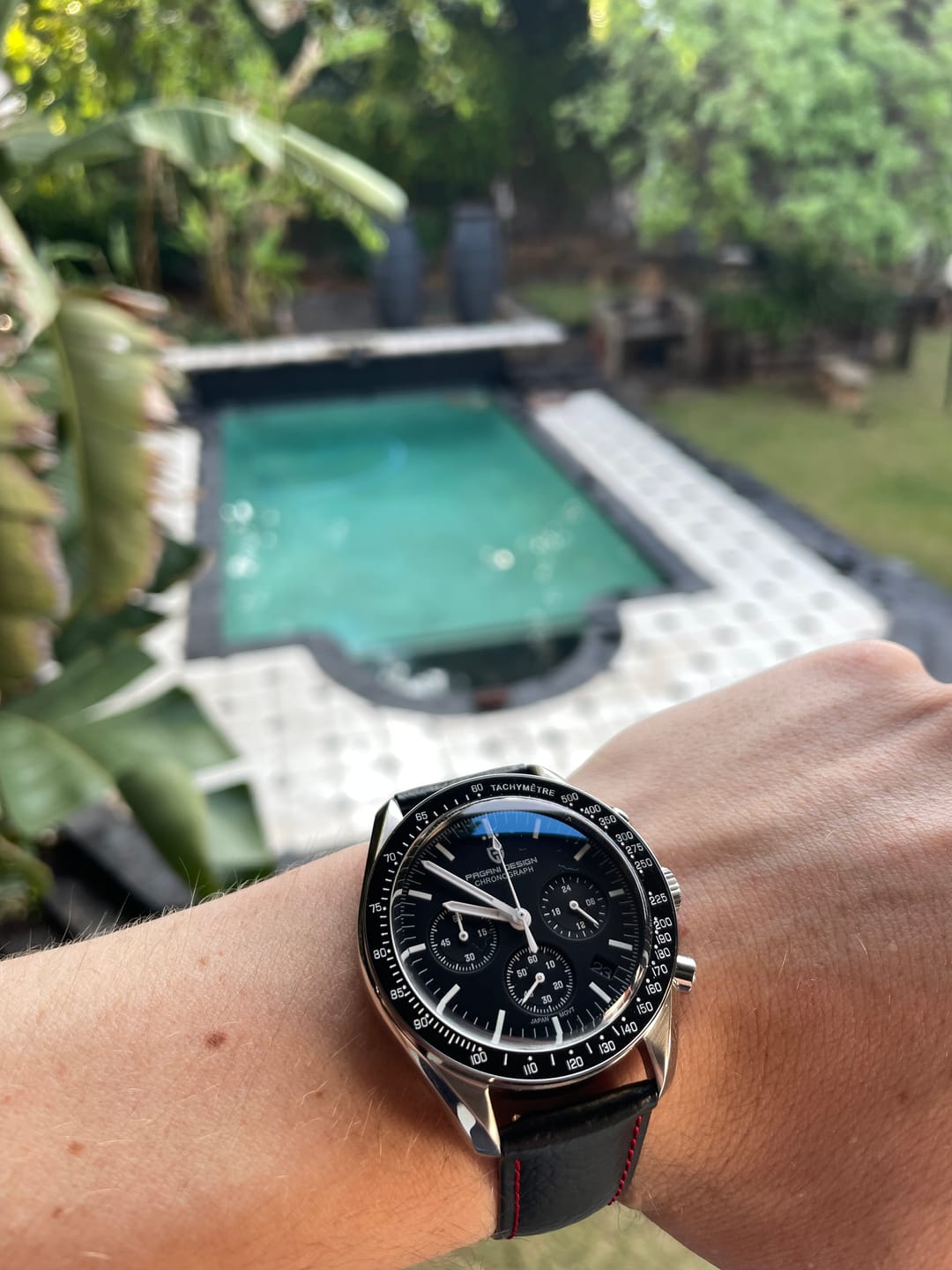 Customer photo review of Pagani Design PD-1701
