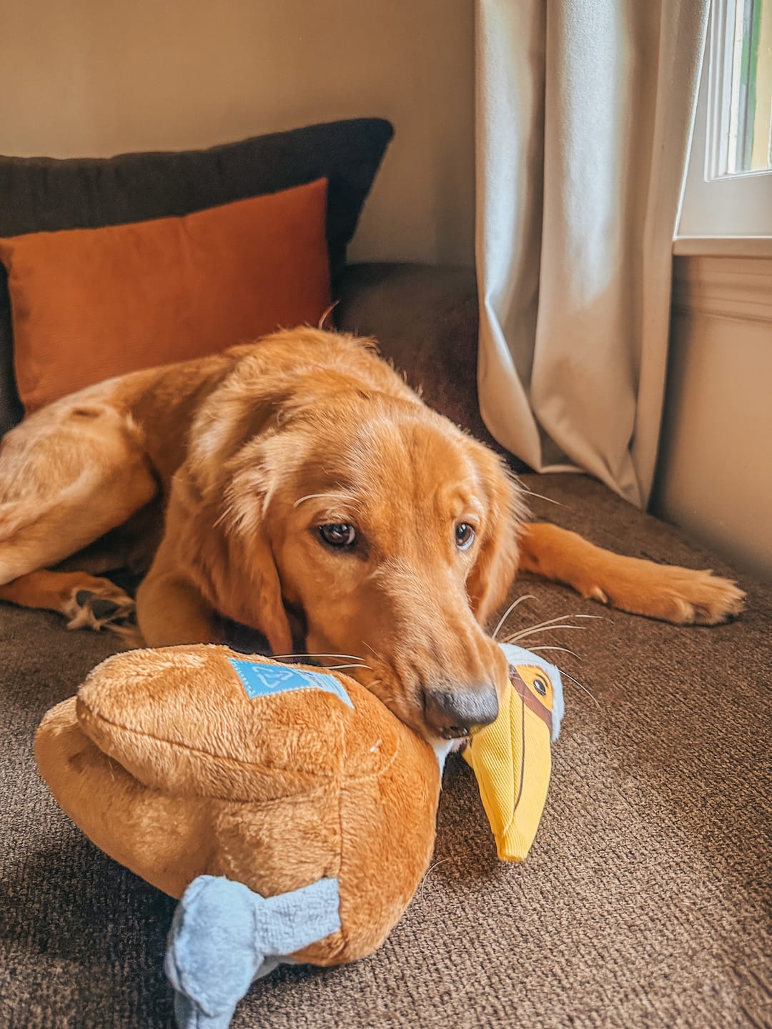 Customer photo review of Clean Earth Plush - 100% Sustainable