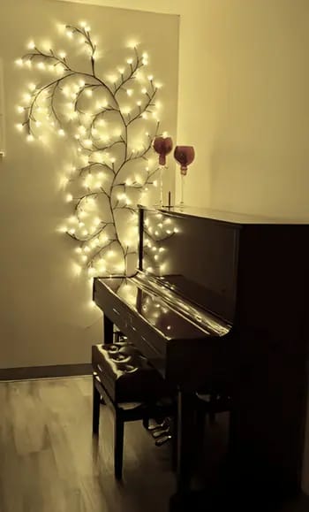Customer photo review of Bäumlein® - Weinrebe mit 144 LED's