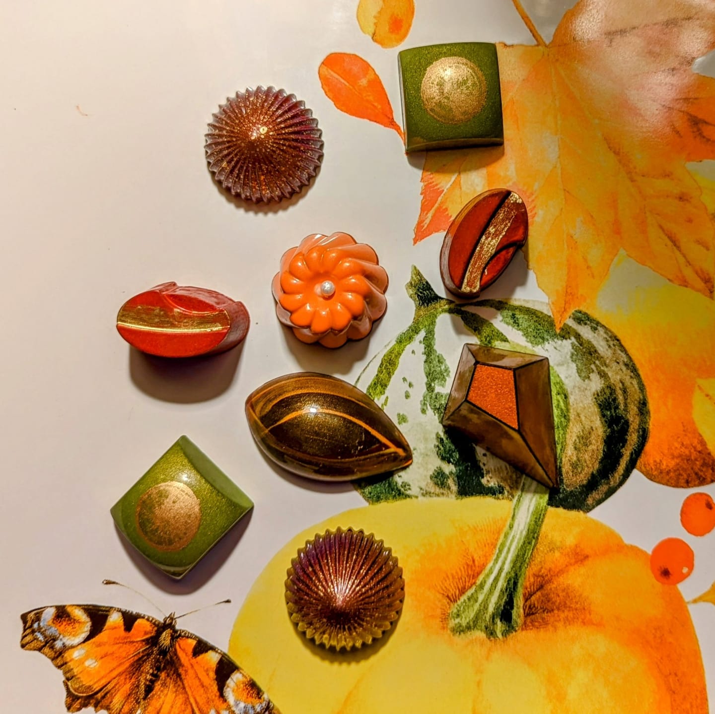 Customer photo review of Autumn Bliss, 12 piece box