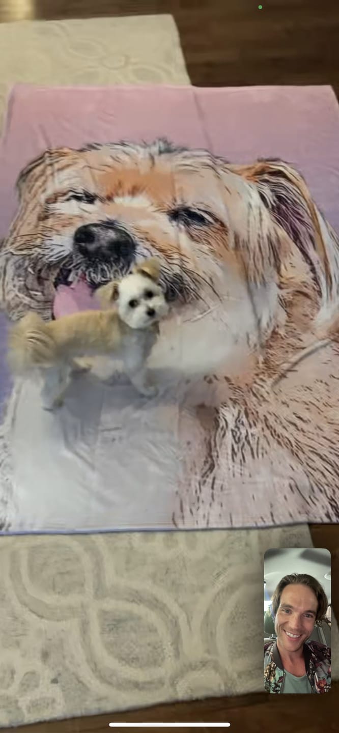 Customer photo review of Custom Pet Art Fleece Blanket