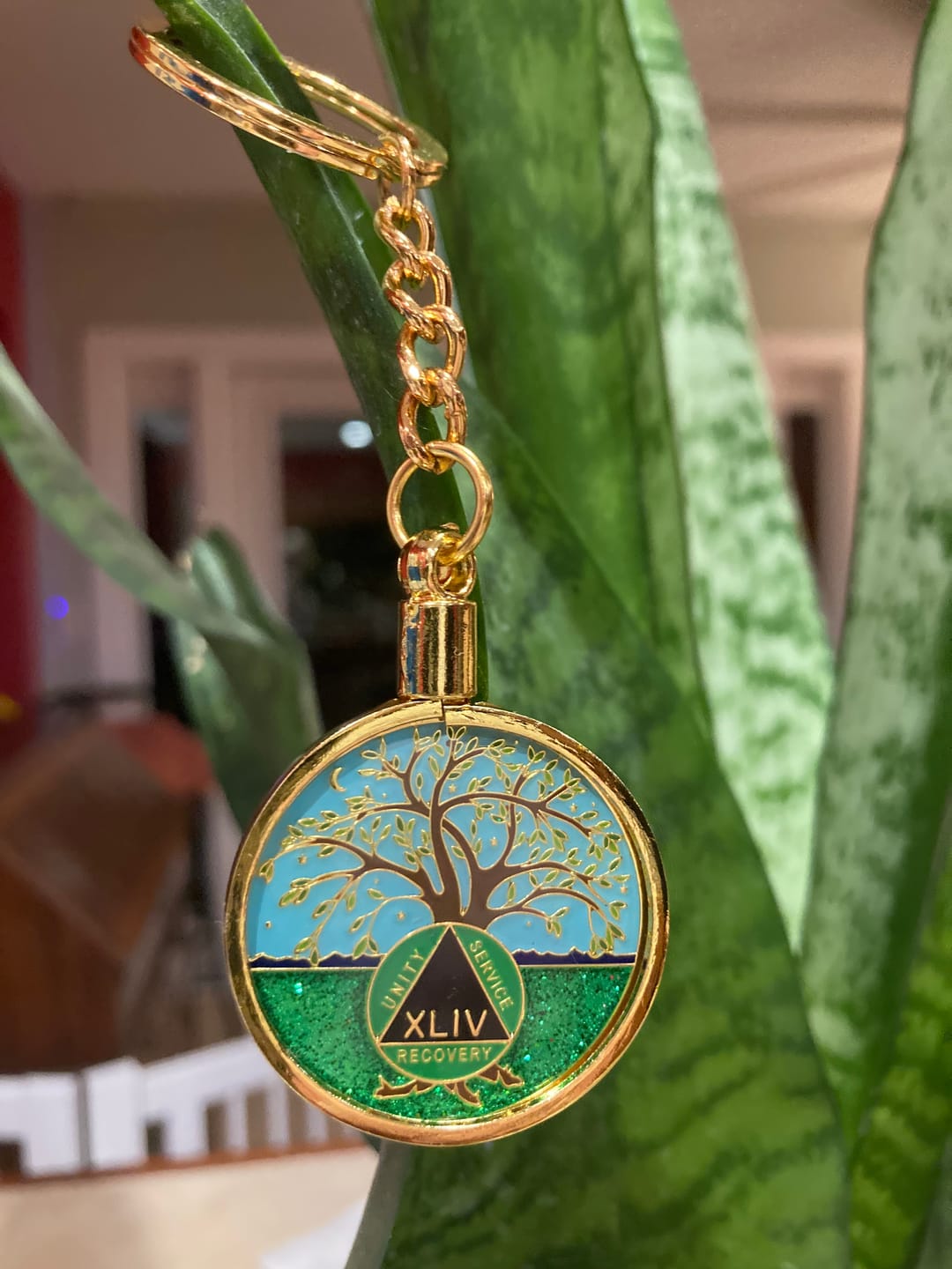 Customer photo review of 1 to 60 Year Tree of Life Specialty AA Recovery Medallion - Tri-Plated Chip/Coin