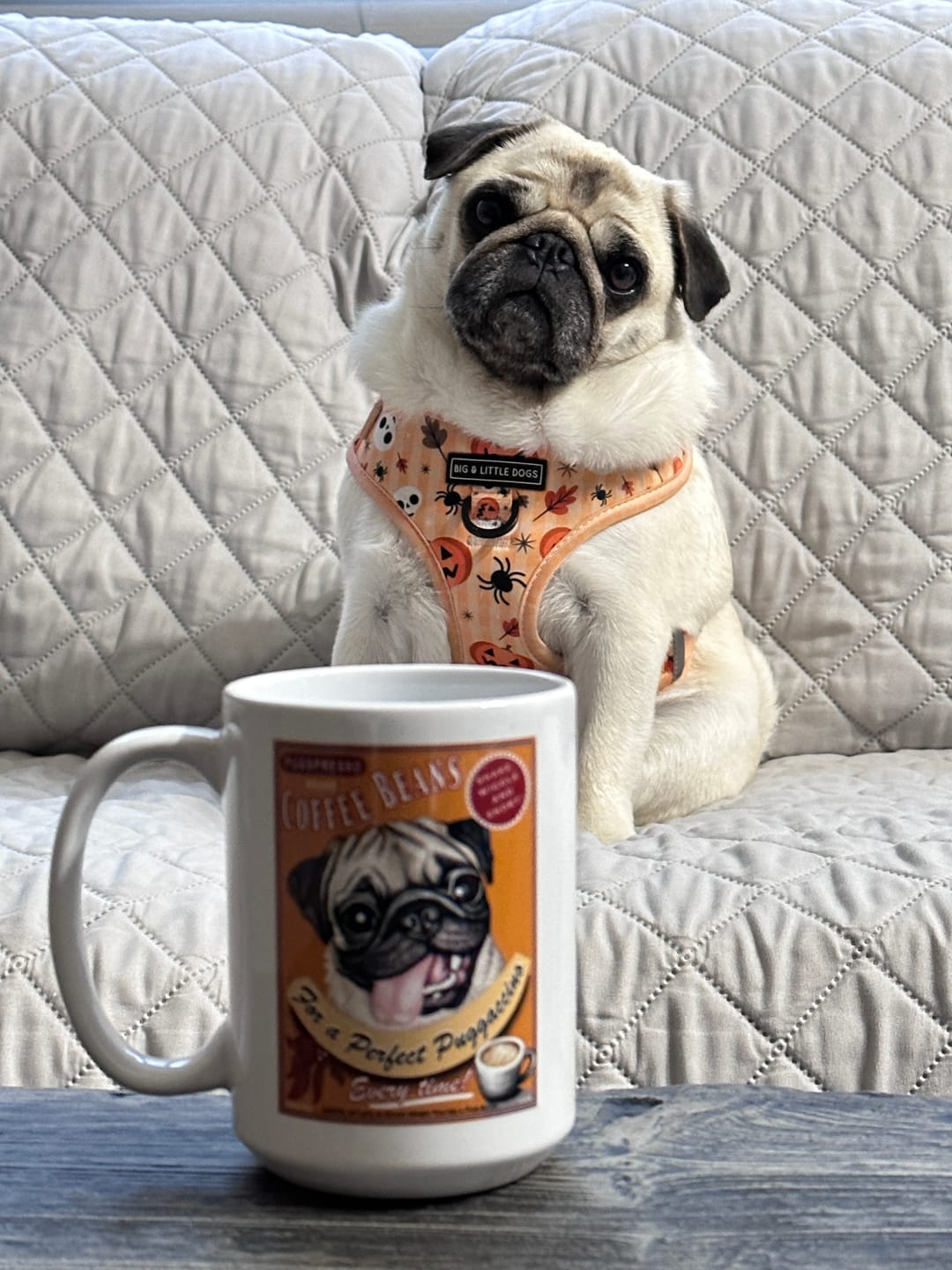 Customer photo review of Pug Art - Fawn Pug "Puggaccino" 15 oz. White Coffee Mug