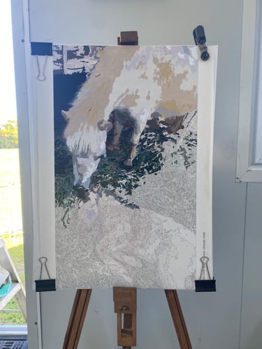 Customer photo review of Custom Paint By Numbers