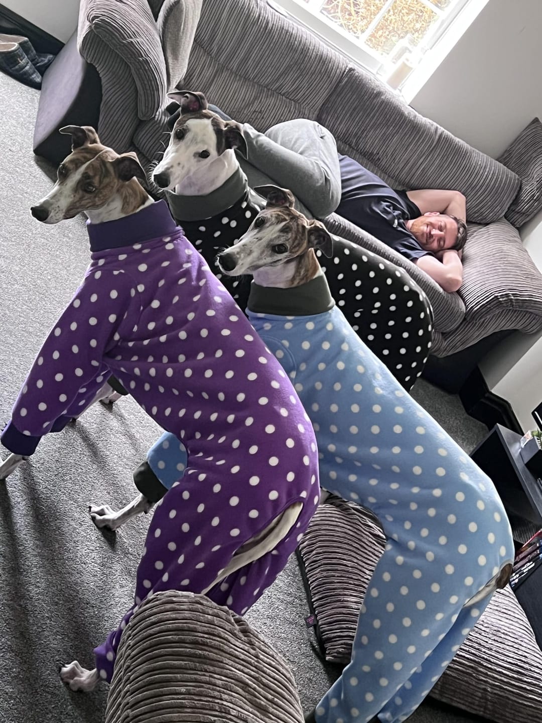 Customer photo review of White Polka Dot Anti Pill Polar Fleece Fabric